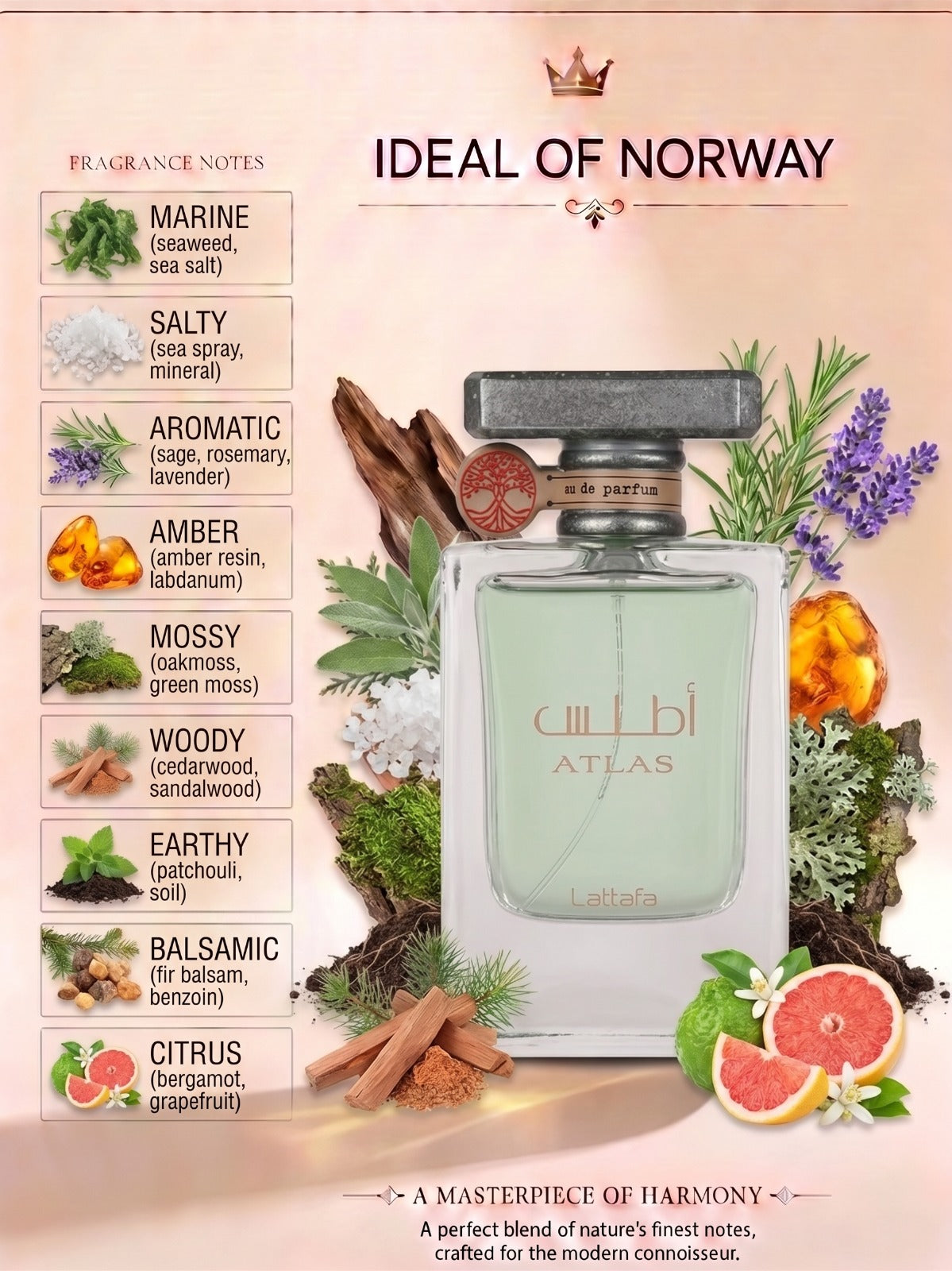 Lattafa Atlas fragrance notes with marine, salty, aromatic, woody and citrus accords