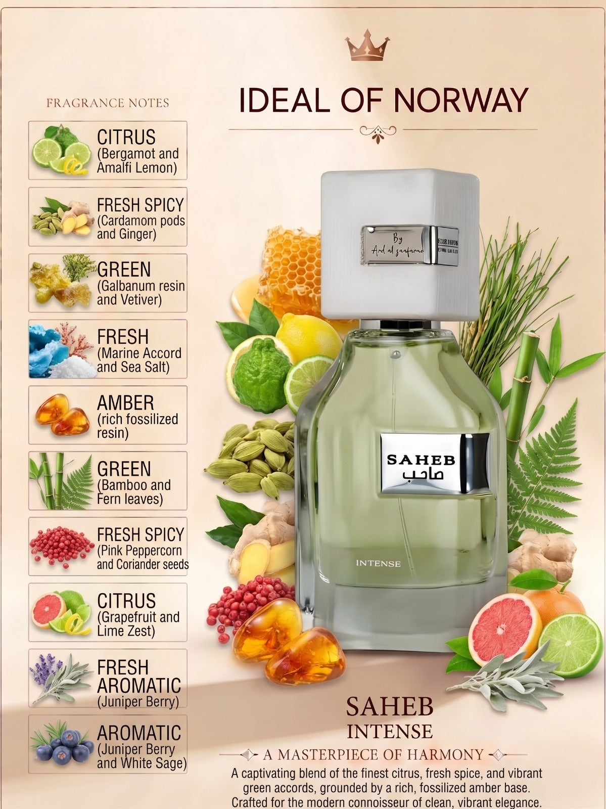 Saheb Intense 50ml perfume fragrance notes